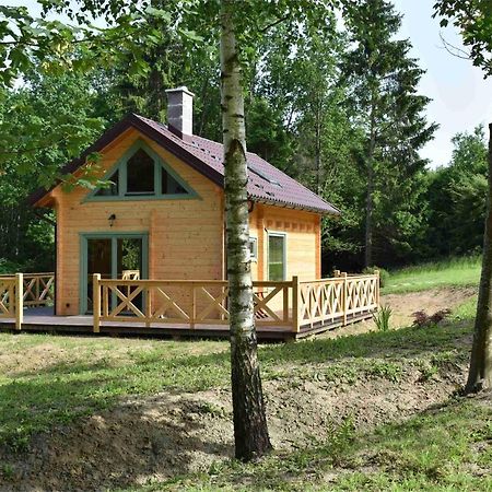 Ogrod Shinrin Yoku Villa Srokowo Bagian luar foto