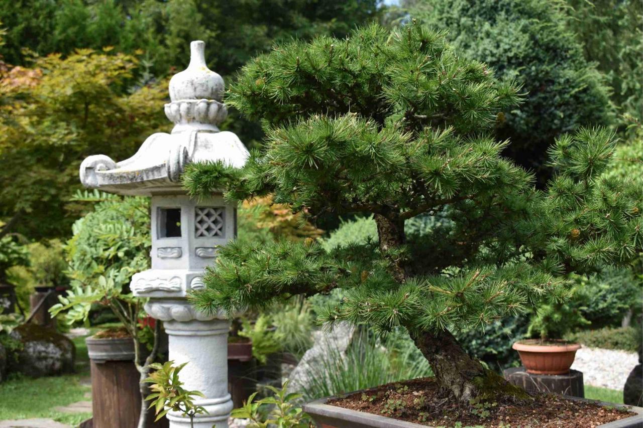 Ogrod Shinrin Yoku Villa Srokowo Bagian luar foto