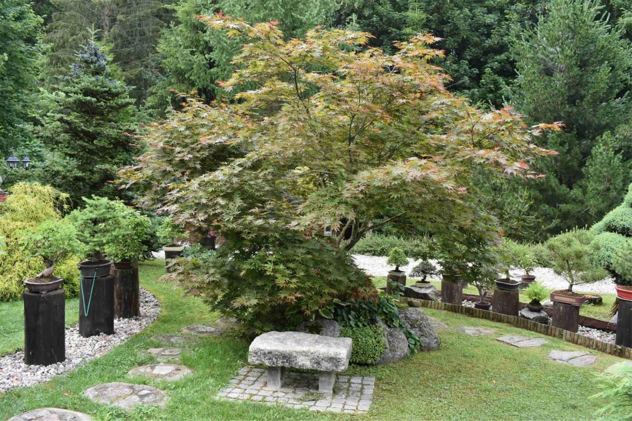 Ogrod Shinrin Yoku Villa Srokowo Bagian luar foto